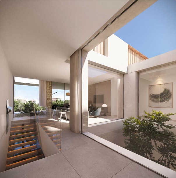 WhatsApp Image 2025-02-17 at 12.19.36 PM